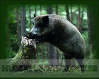 Mineralsalzpaste -Salzpaste mit Spurenelementen 2,5 kg Eimer / TOP - EFFEKT AN DER SALZLECKE UND KIRRUNG HU- 94003