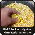 HUBERTUS-BUCHTER - PFLAUM- AROMA - Wildlockmittel Konzentrat 1 kg Flasche / TOP - EFFEKT AN DER KIRRUNG/ Art. Nr. BU-18002